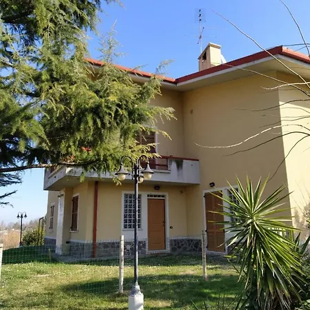 Mimosa Senigallia